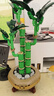 樂(lè)高（LEGO）積木拼裝10344 富貴竹男孩女孩玩具生日禮物 曬單實(shí)拍圖