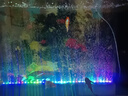 魚(yú)缸增氧氣泡條水族氧氣氣簾裝飾造景納米氣盤(pán)石帶led潛水照明燈 氣泡燈23.6cm+氣管【適合30-40cm缸】 無(wú)氧氣泵 曬單實(shí)拍圖