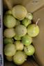 京鮮生 欽蜜9號黃金百香果 3斤凈重70-90g/15-21個  生鮮水果 源頭直發(fā) 曬單實拍圖