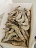 浩浩優(yōu)選新鮮大蝦青島大蝦特大蝦子鮮活冷凍新鮮白蝦青蝦基圍蝦特大號商用 14-17厘米活蝦速凍 1500g(凈重) 曬單實(shí)拍圖