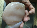 原箱20斤凍雞大胸10斤雞胸肉新鮮健身代餐食品冷凍雞脯肉批發(fā) 六合雞胸肉10斤分裝 曬單實(shí)拍圖