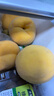 京覓黃桃水果蒙陰桃子新鮮黃金蜜桃 凈重4.5斤 單果120g起 源頭直發(fā) 曬單實(shí)拍圖