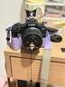佳能（Canon）EOS R50 微單相機套機佳能r50便攜 18-45mm高清數碼照相機入門(mén)級 R50 + 18-45 黑色 官方標配+一年只換不修 曬單實(shí)拍圖