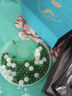 京鑒新疆和田玉碧玉項(xiàng)鏈女款菠菜綠玉石珠子圓珠玉鏈頸飾鎖骨鏈附證書 6mm碧玉項(xiàng)鏈 曬單實(shí)拍圖