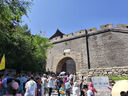 得寶（TEMPO）戴珍珠耳環(huán)的少女藝術(shù)聯(lián)名 櫻花濕巾 8片*6包 殺菌率99.9% 便攜款 曬單實(shí)拍圖