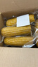 京鮮生東北黃糯玉米棒200g×8根 甜黏玉米 多種包裝隨機發(fā)貨 源頭直發(fā) 曬單實拍圖