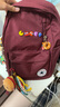 Converse 匡威雙肩背包學(xué)生電腦包男女大容量書(shū)包新款青少年背包 波特茶紅 M【43*30*11cm 約14.2L】 曬單實(shí)拍圖