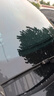杜邦雨刮器汽車雨刷器無(wú)骨雨刮片大眾17-25款邁騰/18-25款帕薩特探歌 曬單實(shí)拍圖