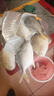 鼠大漁海捕金鯧魚(yú)鮮活冷凍超大金昌魚(yú)新鮮鏡魚(yú)晶魚(yú)鳊魚(yú)生鮮魚(yú)類(lèi)有2斤1條 【單條400-450g】共5條 超劃算 曬單實(shí)拍圖