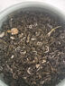 衡峰 廣西橫縣產(chǎn)茉莉花茶茉莉雪螺 2025年新茶葉 盒裝送禮袋 【250克】125克*2盒 曬單實(shí)拍圖
