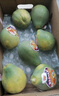 都樂Dole 進(jìn)口木瓜 非轉(zhuǎn)基因木瓜 新鮮水果 6/8/10只 總重4KG 整箱家庭裝 曬單實(shí)拍圖