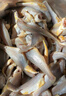 海云馨小黃魚(yú) 新鮮冷凍海鮮深海黃花魚(yú) 活魚(yú)速凍燒烤食材 【新鮮海捕】深海小黃魚(yú)4斤凈重 曬單實(shí)拍圖