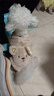 貝初眾狗狗衣服秋冬季泰迪衣服貓咪衣服大中小型犬比熊小狗寵物衣服保暖 棕色背包熊【適合6-8斤】 加厚保暖 出行不束縛 曬單實(shí)拍圖