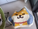 大江地墊衛(wèi)生間腳墊浴室門口吸水墊廁所浴室防滑地墊45x65cm 曬單實(shí)拍圖