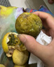 海南欽蜜9號(hào)黃金百香果啟鴻 新鮮水果純甜 如蜜 20個(gè)裝（30-45g） 曬單實(shí)拍圖