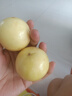 黃金百香果欽蜜9號(hào)新鮮當(dāng)季現(xiàn)摘精選好果水果百香果鮮果酸甜可口 欽蜜9號(hào)黃金百香果40~60g中果1斤 曬單實(shí)拍圖