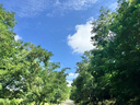 浪莎平角安全褲夏季冰絲內(nèi)褲防走光短褲無痕不卷邊保險(xiǎn)打底女士內(nèi)褲 曬單實(shí)拍圖