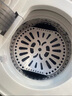 志高（CHIGO）脫水機(jī)甩干機(jī)小型迷你家用甩干桶出租房宿舍大容量單杠脫水桶烘干一體 8.6KG 力薦【不銹鋼桶加厚款】 曬單實(shí)拍圖