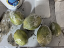 海南無籽香水檸檬新鮮水果檸檬無籽小青檸香水檸檬茶飲店專用 獨立包裝單果60-160g 1斤 曬單實拍圖