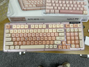 羅技（Logitech）ALTO KEYS K98M/K98S客制化機械鍵盤(pán) 無(wú)線(xiàn)藍牙鍵盤(pán)雙模mac ipad鍵盤(pán)98鍵游戲辦公家用鍵盤(pán)AI熱插拔 K98S+粉底液鍵帽 曬單實(shí)拍圖