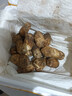 卡布諾香格里拉松茸新鮮刺身野生松茸未開(kāi)傘云南蘑菇應(yīng)季鮮菌生鮮禮品 4-6cm未開(kāi)傘1級(jí)，凈重250g 曬單實(shí)拍圖