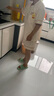 紫色花語(yǔ)【帶胸墊防尷尬】睡衣女士夏季2025年新款家居服短袖乳白小熊L 曬單實(shí)拍圖