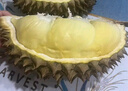 【保4房肉】A級進(jìn)口金枕鮮榴蓮1粒2-2.5kg(M) 曬單實(shí)拍圖