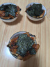 鰻魚皇后 烤鰻魚蒲燒(評價50萬+)整條450g海鮮預制菜加熱即食山姆生鮮宵夜 曬單實拍圖