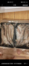 野生龍頭魚新鮮冷凍豆腐魚新鮮特級鼻涕魚海鮮九肚魚輔食水潺 野生海捕龍頭魚10-15/斤3斤裝 曬單實拍圖