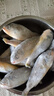 海云馨小黃魚(yú) 新鮮冷凍海鮮深海黃花魚(yú) 活魚(yú)速凍燒烤食材 【新鮮海捕】深海小黃魚(yú)4斤凈重 曬單實(shí)拍圖