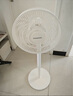 長虹（CHANGHONG）電風(fēng)扇落地扇家用立式機(jī)械電扇臺(tái)扇搖頭電扇空氣循環(huán)風(fēng)扇CFS-LD3016T 曬單實(shí)拍圖