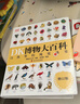 【官方自營(yíng)】DK博物大百科：自然界的視覺(jué)盛宴（集科學(xué)、美學(xué)和收藏價(jià)值于一體的全年齡段科普百科全書(shū)！一部家中常備的自然博物館?。┦罴僮鳂I(yè) 一升二暑假銜接 小升初暑假銜接 曬單實(shí)拍圖