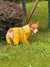 獵吶狗狗雨衣中小型犬連體全包四腳透氣寵物雨衣柯基柴犬建議30-40斤 檸檬黃 3XL【建議28-35的狗狗】 曬單實(shí)拍圖