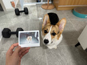 富士（FUJIFILM）instax立拍立得wide400相紙一次成像復(fù)古相機(jī)系列五寸寬幅20張 國(guó)際版七夕禮物 曬單實(shí)拍圖