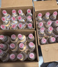 屈臣氏兒童水小馬寶莉款蒸餾水純凈水200mL*12瓶整箱小瓶水 含盲卡 包郵 曬單實(shí)拍圖