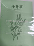 千纖草面膜抗皺緊致補水保濕控油絲瓜舒緩茶樹(shù)海藻面膜貼片式護膚男女 茶樹(shù)控油面膜 20片 曬單實(shí)拍圖