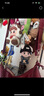 KKV正品JOTOYS奇偶潮樂(lè )Q寶動(dòng)物幼稚園系列盲盒手辦玩具擺件生日禮物 隨機發(fā)1個(gè)（如需端盒數量拍6個(gè)） 拆封后不支持無(wú)理由退貨退款 曬單實(shí)拍圖