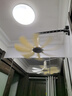 鉆石牌小吊扇八葉高速電風扇蚊帳扇家用學生宿舍風扇工地小吊扇床上電風扇輕音送風電風扇吊式小電扇 曬單實拍圖
