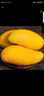 小臺(tái)農(nóng)芒果 熱帶當(dāng)季新鮮水果整箱 小臺(tái)農(nóng)芒果8斤單果50g+ 曬單實(shí)拍圖