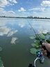 達億瓦（DAIWA）新款 EXCELER LT 小型泛用紡車輪 輕量遠投魚線輪漁輪 2500（標準型號） 曬單實拍圖