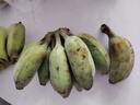 廣西小米蕉小香蕉自然熟迷你香蕉蘋(píng)果蕉小芭蕉新鮮水果特產(chǎn)雞蕉 蘋(píng)果蕉 3斤 香甜軟糯 曬單實(shí)拍圖