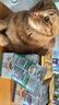 珍致（FancyFeast）喵湯之吻湯包濃湯雞肉生蔬40g*16貓零食濕糧小鳥胃餐包貓罐頭 曬單實(shí)拍圖