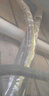 普湃（PURPAVWINNER）空調(diào)扎帶加厚玻纖鋁箔膠帶耐高溫排煙管道密封管道防水防曬保溫纏繞空調(diào)銅管綁帶空調(diào)管包扎帶 曬單實拍圖
