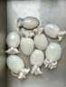 三去冰鮮三去墨魚(yú)仔200g 曬單實(shí)拍圖