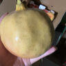 京鮮生 四川會理突尼斯軟籽石榴 6斤單果300-350g 生鮮水果源頭直發(fā) 曬單實拍圖