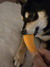 愛肯拿（ACANA）狗糧 鴨肉梨成犬低敏去淚痕全價通用原裝進(jìn)口糧11.4kg效期25/12 曬單實拍圖