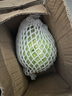 新鮮甘藍包菜卷心菜新鮮嫩綠蓮花白現(xiàn)摘現(xiàn)發(fā)早餐減脂 新鮮包菜 2.5-3斤 人工挑揀 曬單實拍圖