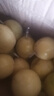 正宗廣西欽蜜9號(hào)黃金百香果毅果應(yīng)季新鮮水果 現(xiàn)摘現(xiàn)發(fā) 品質(zhì)好貨 寶寶果20個(gè)單果30g以下迷你果 曬單實(shí)拍圖