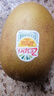 佳沛（zespri）新西蘭 陽光金果12粒單果約122-146g 獼猴桃 中秋水果禮盒 曬單實拍圖