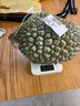 京東超市新鮮貓山王榴蓮馬來西亞D197液氮冷凍水果單果3-3.5斤【保4房】 曬單實拍圖